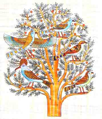 Acacia tree of life