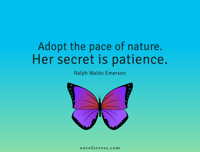 Adapt the pace of nature - her secret is patience - quote by Ralph Waldo