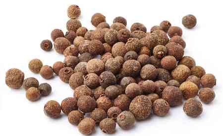 Allspice herb seeds