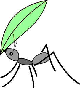 Ant with leaf