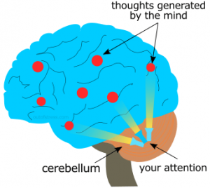 Mind's attention split between various thoughts
