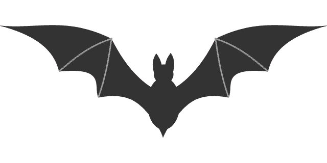 Bat symbol