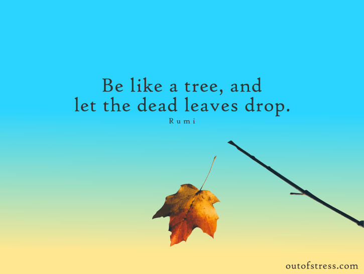 Be like a tree and let the dead leaves drop - let go quote by Rumi