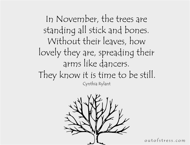 Trees know when it is time to be still.