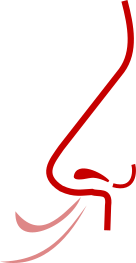 Breath icon