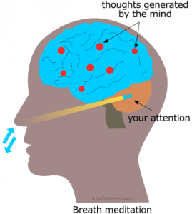Focusing your attention on your breath