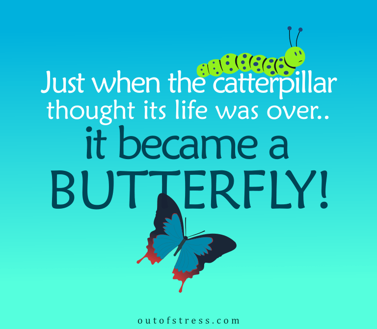 Just when the caterpillar thought its world was over, it turned into a butterfly!