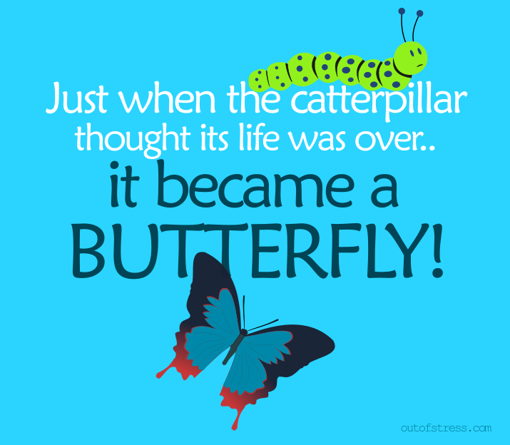 Just when the caterpillar thought its world was over, it turned into a butterfly! - Change quote