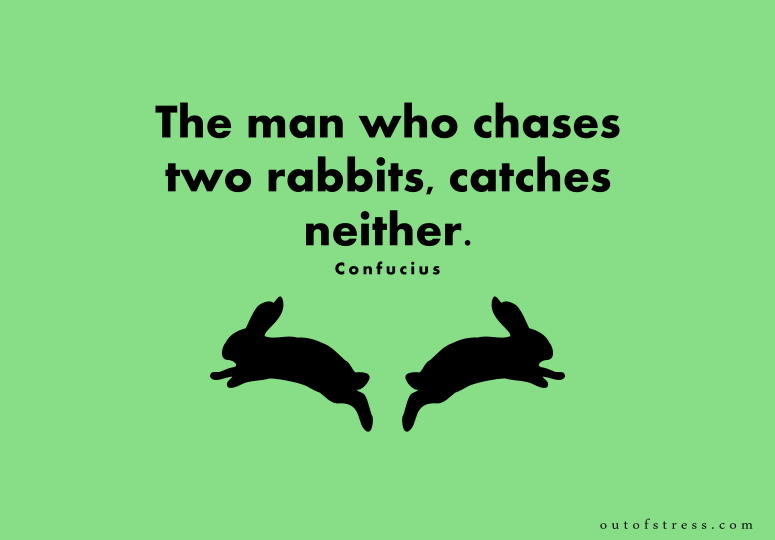 The man who chases two rabbits, catches neither.