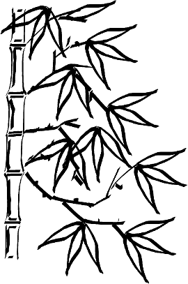 Chinese bamboo tree