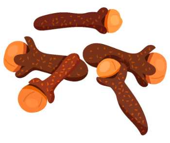Clove