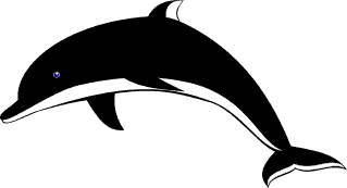 Dolphin