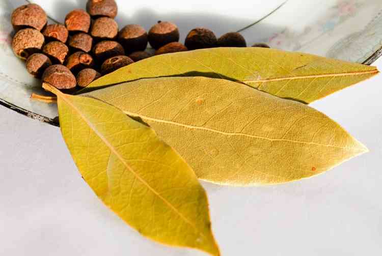 Dried bay leaves