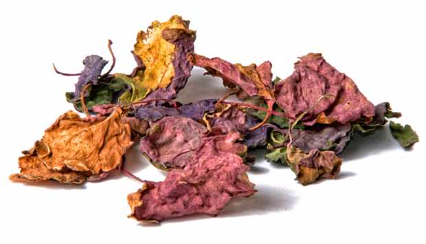 Dried patchouli leaves