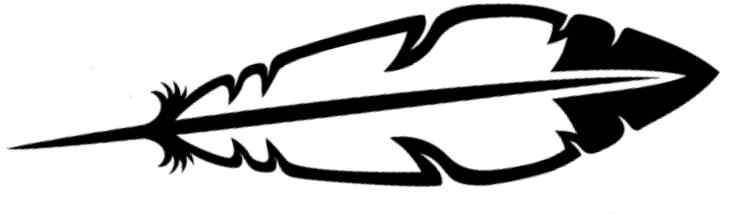 Eagle tail feather