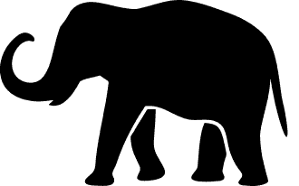 Elephant with raised trunk