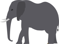 elephant