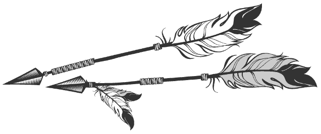 Feathered arrow