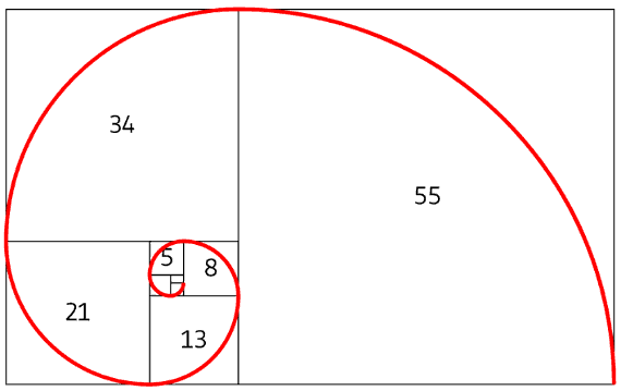 Fibonachi spiral