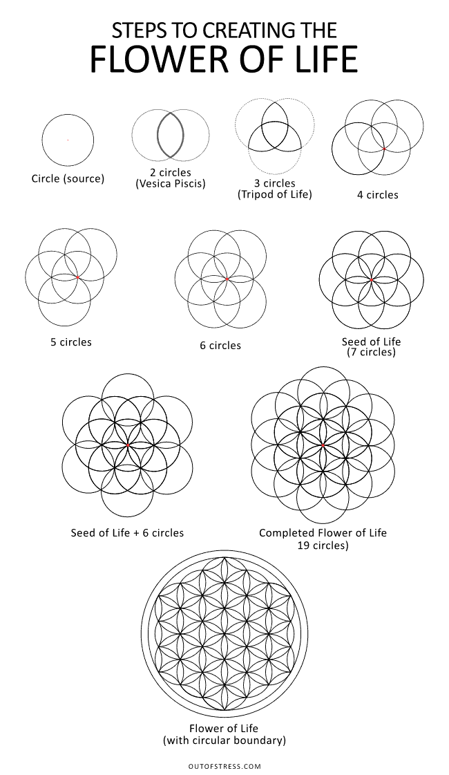 Flower Of Life Symbolism 6 Hidden