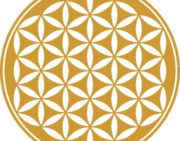 Flower of life featured