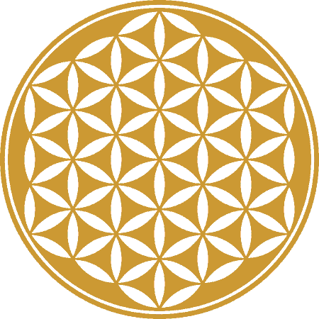 Flower Of Life Symbolism 6 Hidden