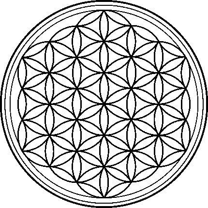 Flower of Life with outer circles