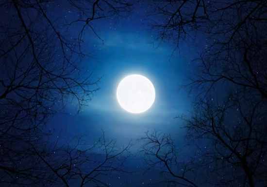 Full moon