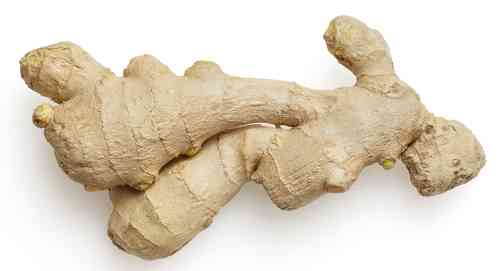 Ginger