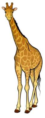 Giraffe illustration