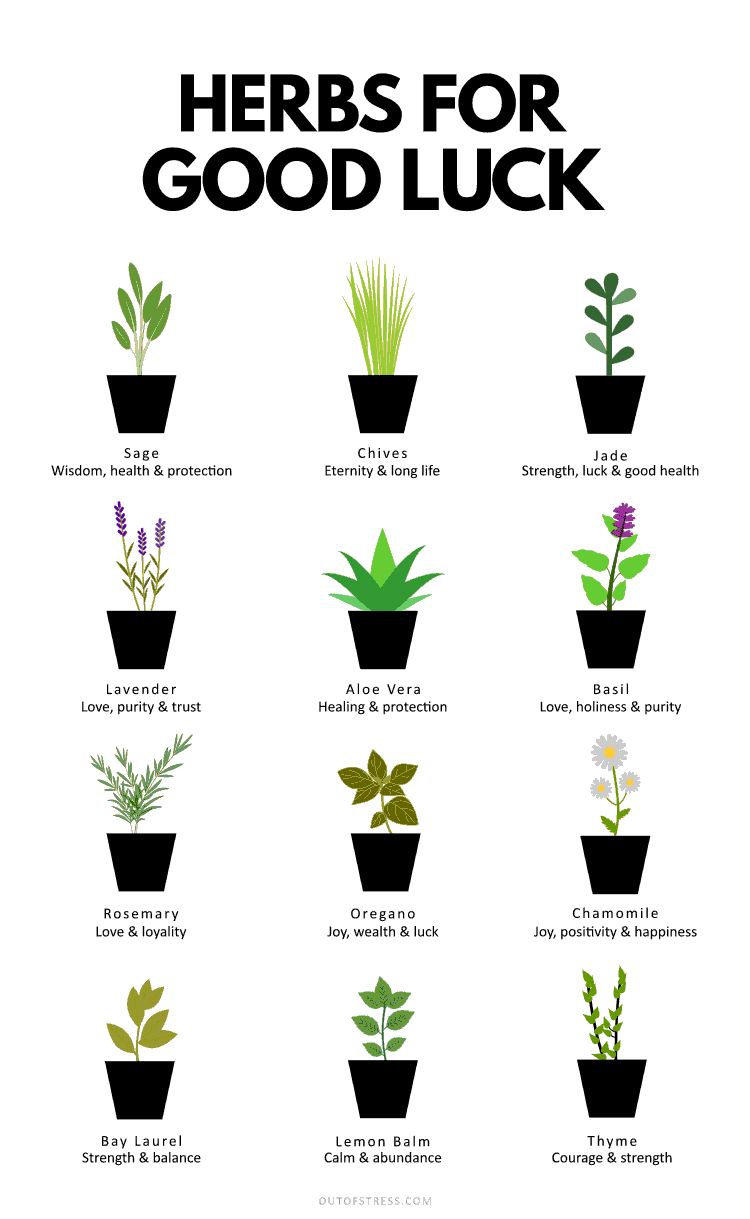 Herbs for good luck