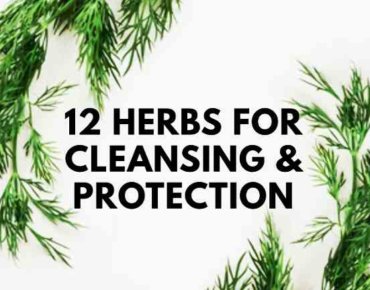 Herbs for protection