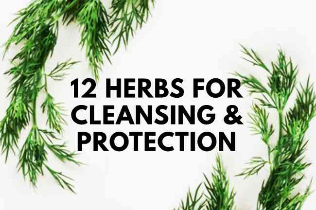 Herbs for protection