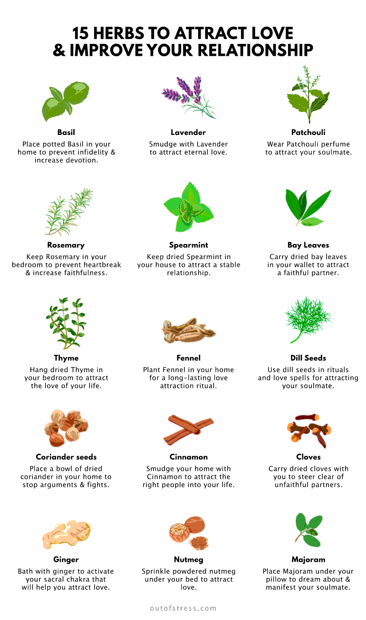 15 Herbs to attract love