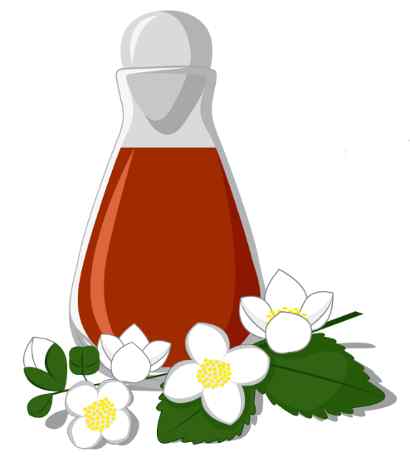Jasmine perfume