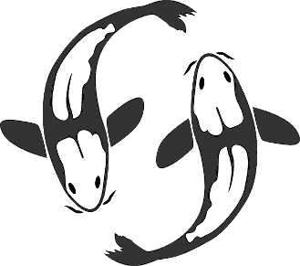 Koi fish