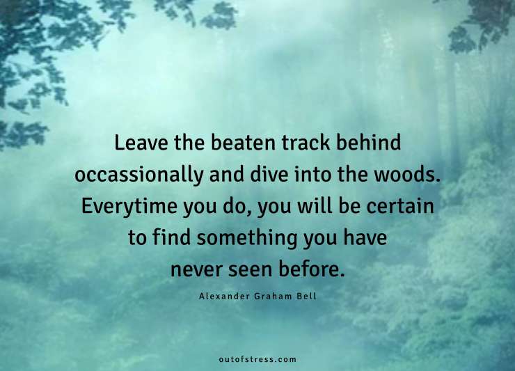 Leave the beaten track behind occasionally and dive into the woods.