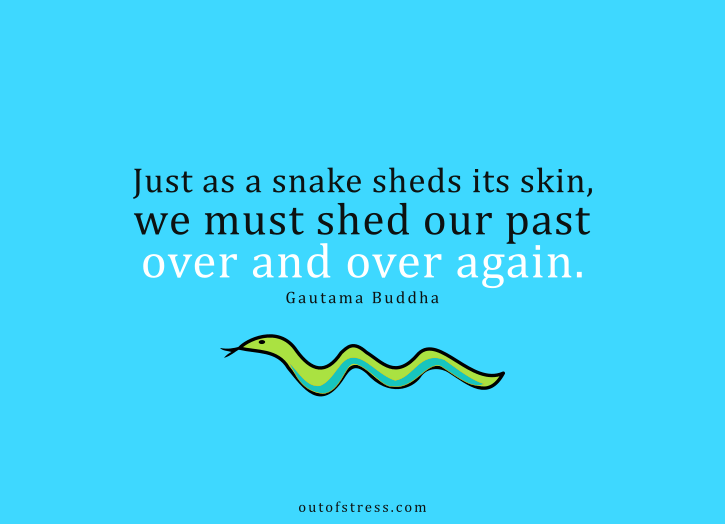 Just as a snake sheds its skin, we must shed our past over and over again - Buddha let go quote