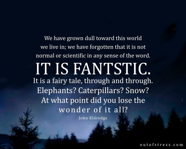 We have grown dull toward this world in which we live; we have forgotten that it is not normal or scientific in any sense of the word. It is fantastic. It is a fairy tale through and through. Elephants? Caterpillars? Snow? At what point did you lose your wonder of it all?