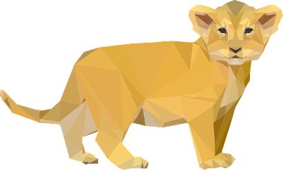 Lion cub
