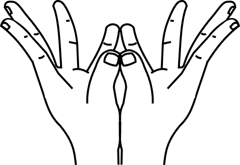 Lotus Mudra hand symbol