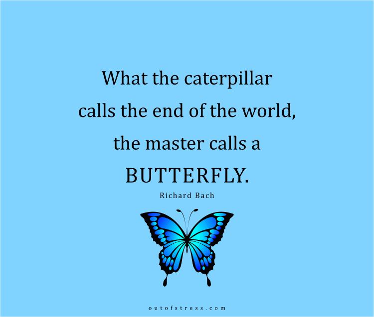 What the caterpillar calls the end of the world, the master calls a butterfly.