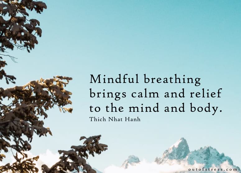 Mindful breathing brings calm and relief to the mind and body. - Thich Nhat Hanh