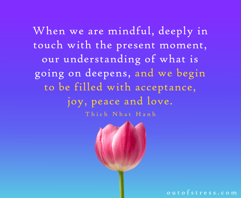 When we are mindful, deeply in touch with the present moment, our understanding of what is going on deepens, and we begin to be filled with acceptance, joy, peace and love - Thich Nhat Hanh.