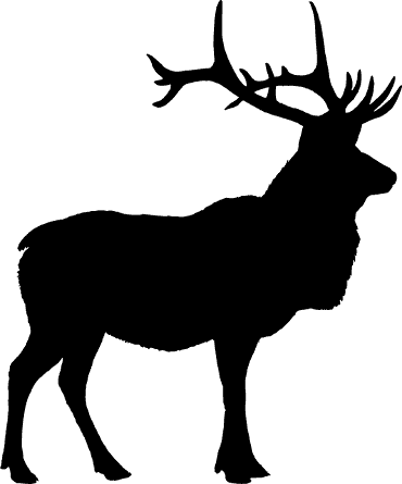 Moose