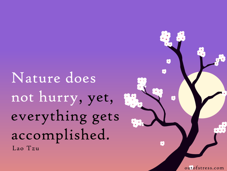 Nature does not hurry, yet everything is accomplished. - Lao Tzu