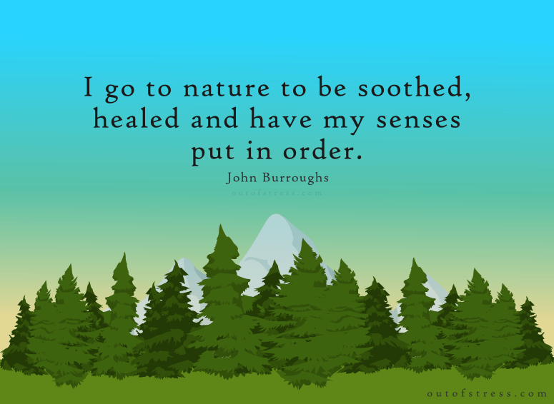 I go to nature to be soothed, healed and have my senses put in order. - John Burroughs