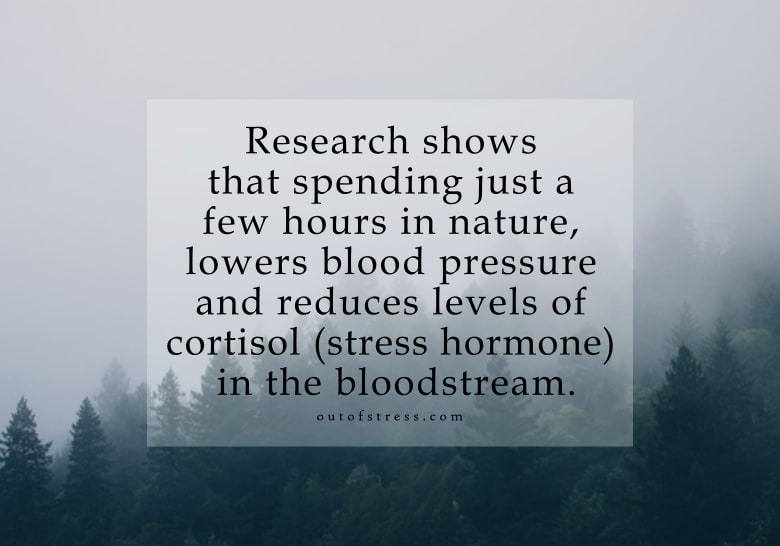 Nature lowers blood pressure - research
