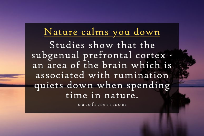 Nature calms you down - research