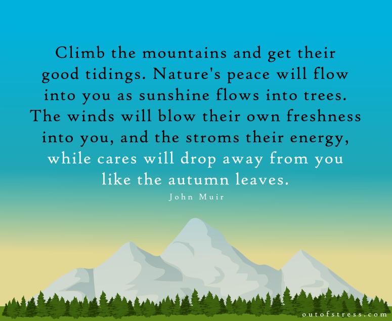 Climb the mountains and get their good tidings. Nature's peace will flow into you as sunshine flows into trees - John Muir quote 